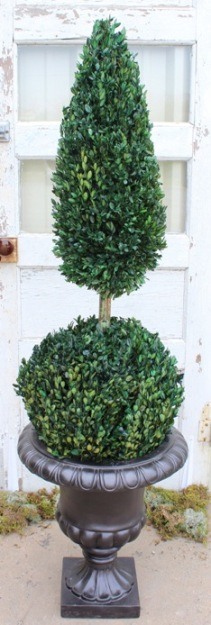 50 inch   Boxwood Ball Cone Topiary